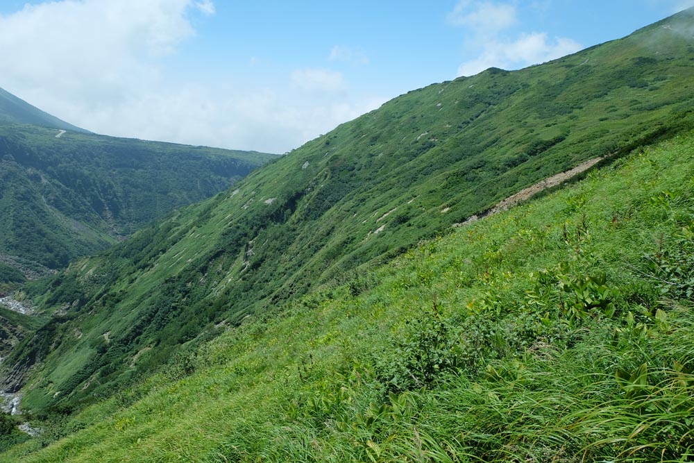 岩盤クリープ斜面