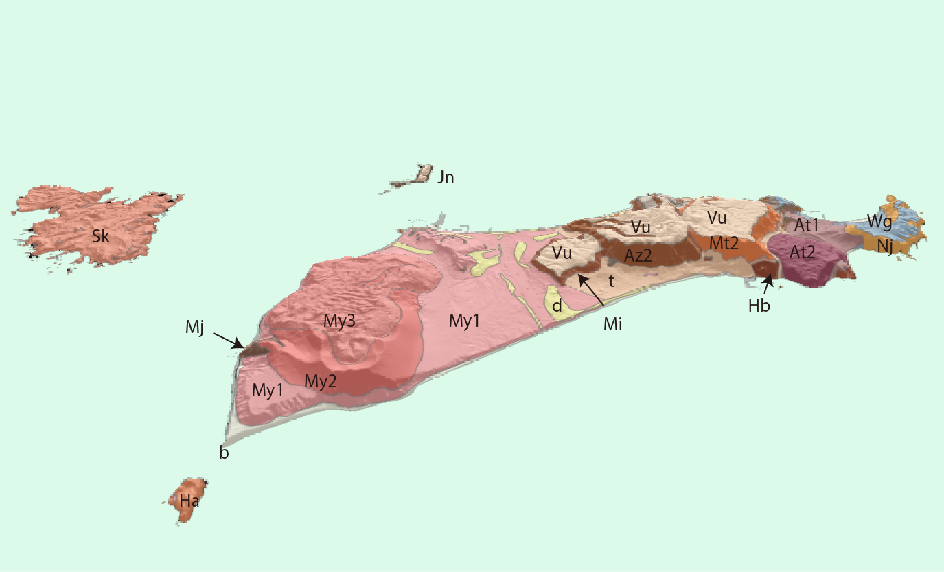 新島の3D地質図